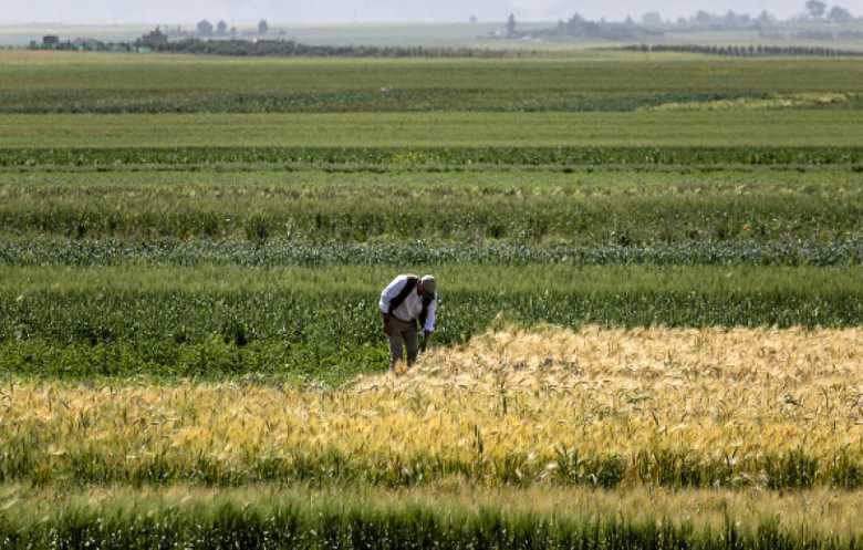 عطش عربي يهدّد الأمن الغذائي