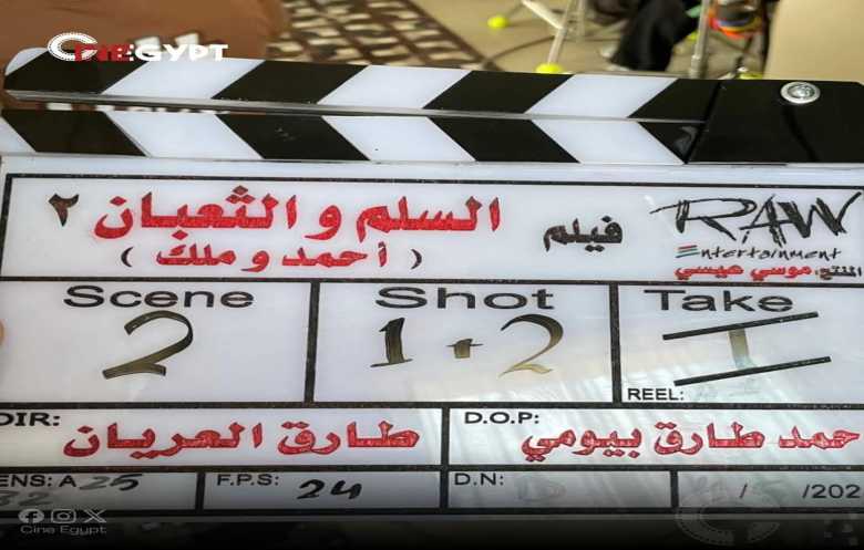 لماذا يتمسك صناع فيلم «السلم والثعبان» بعمل جزء ثان بأبطال جدد؟