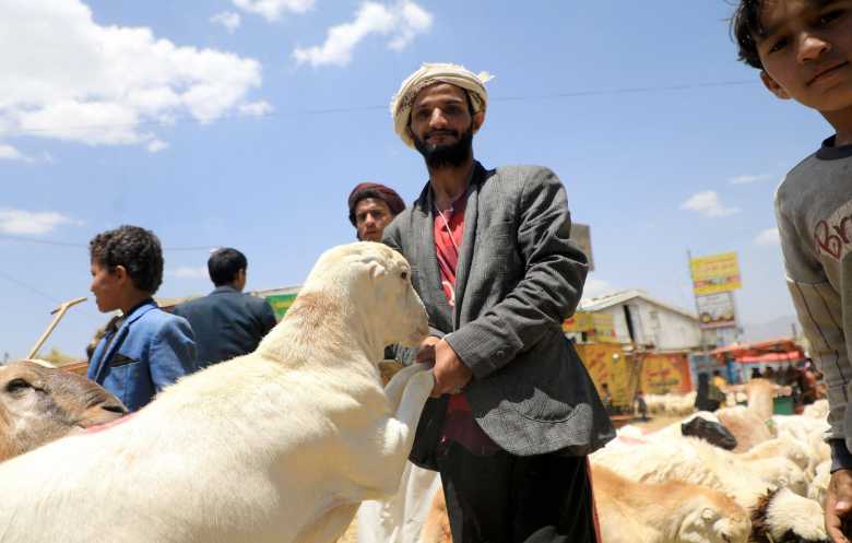 جبايات الحوثيين وسوء الأوضاع المعيشية ترفع أسعار الأضاحي