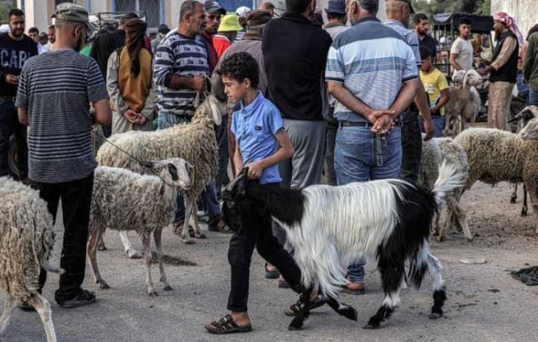 غزة بلا أضاحٍ.. إسرائيل تقضي على شعائر العيد للعام الثاني