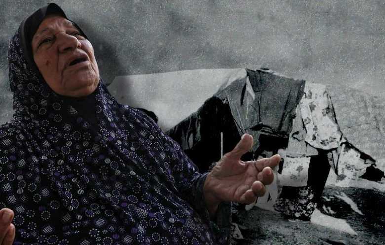 المجاعة في غزة "حقيقة أممية".. والاحتلال يضلّل