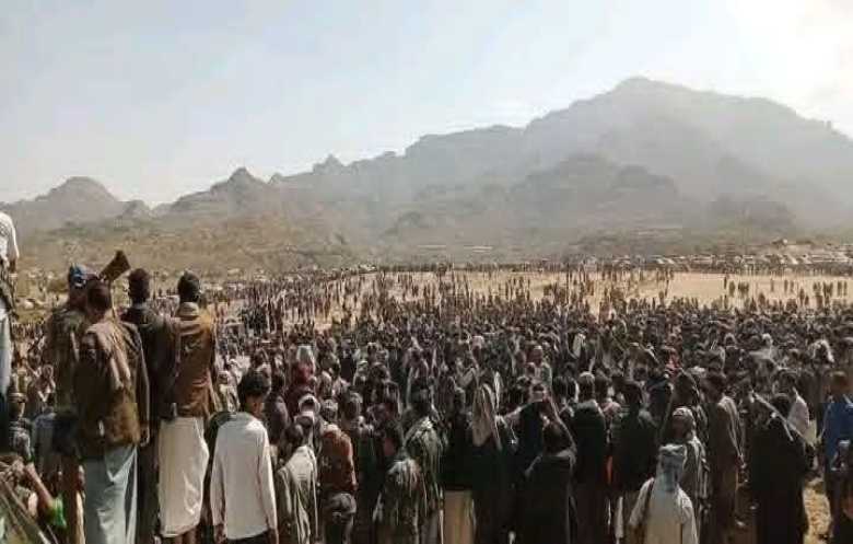 قبائل مخلاف العود تنكف نصرة لقضية آل فاضل ورفضًا لتعطيل العدالة