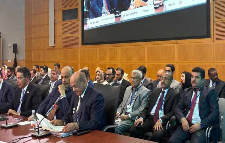 اليمن يستعد لتنفيذ خطة إيرادات الطوارئ بضغط دولي