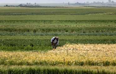 عطش عربي يهدّد الأمن الغذائي