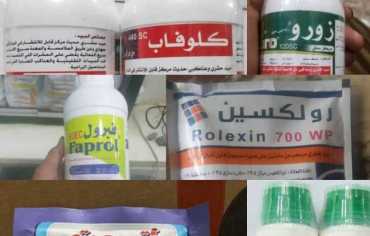  كارتيل الموت في صنعاء يدافع عن المبيدات