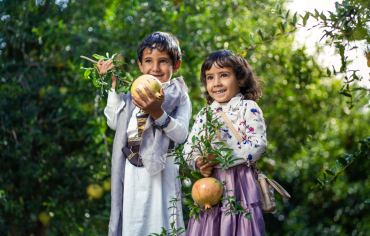 الرمان... ثروة اليمن الزراعية الواعدة العابرة للحدود