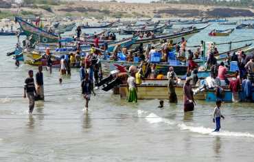 التهريب ينعكس كارثة على موسم الحبّار في اليمن