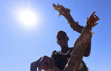 السودان على حافة التحوّل… هل تعيد المبادرة السعودية رسم خريطة الحرب وتفتح باب السلام؟