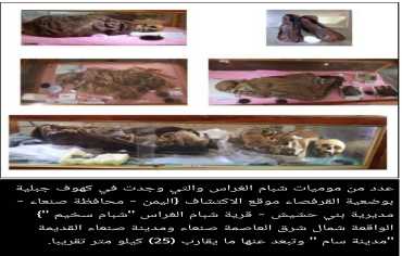 مومياوات اليمن.. قراءة تاريخية في الإرث الجنائزي وتحديات الحفظ والصون