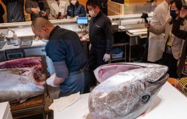  273 ألف دولار مقابل سمكة تونة في مزاد رأس السنة في طوكيو
